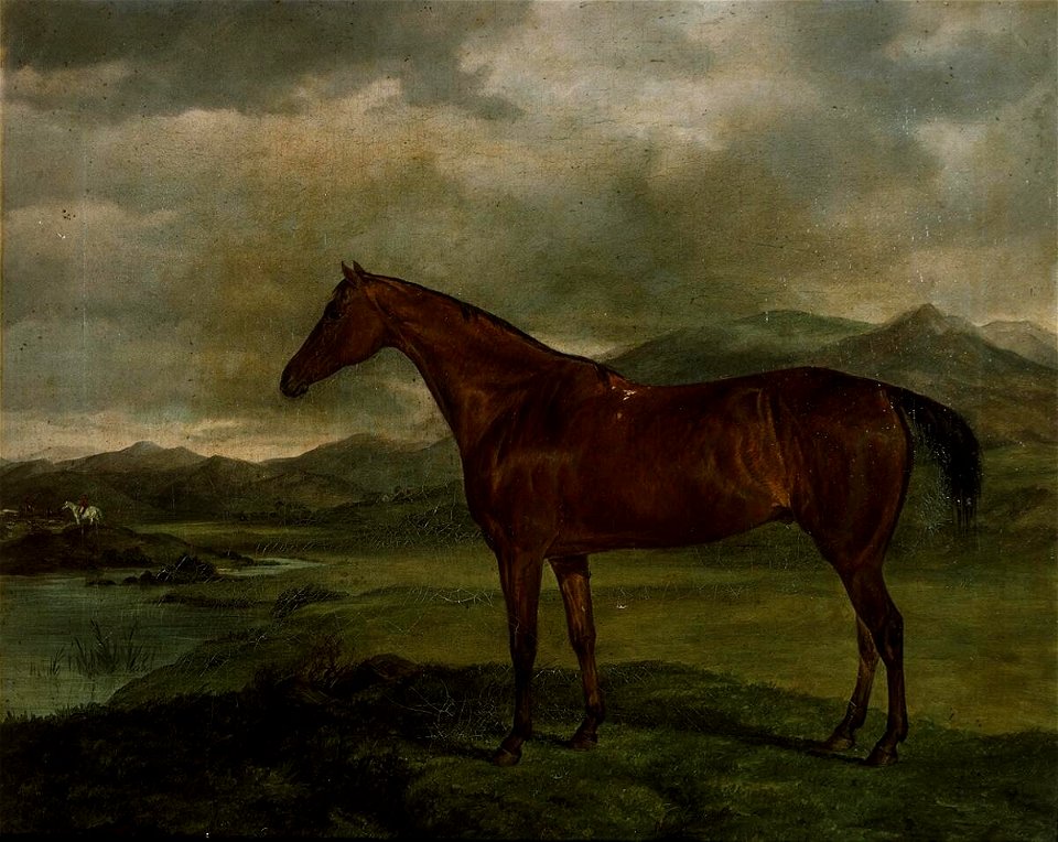 Portrait of a hunter in landscape