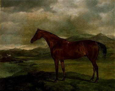 Portrait of a hunter in landscape