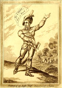Portrait of an Irish Chief; drawn from life at Wexford. (BM 1868,0808.6758)