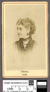 Portrait of Adelina Patti (4670576)