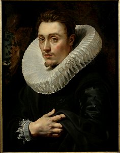 Portrait of a Young Man (by Peter Paul Rubens) - color shades version 2