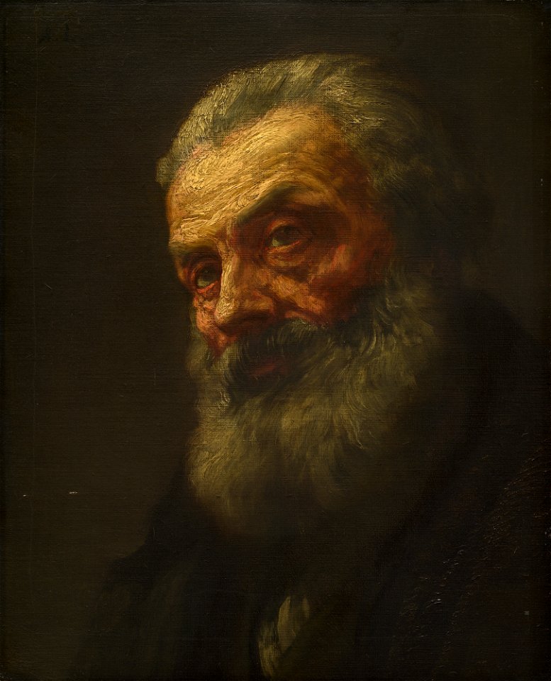 Portrait of an Old Man A11908