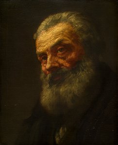 Portrait of an Old Man A11908
