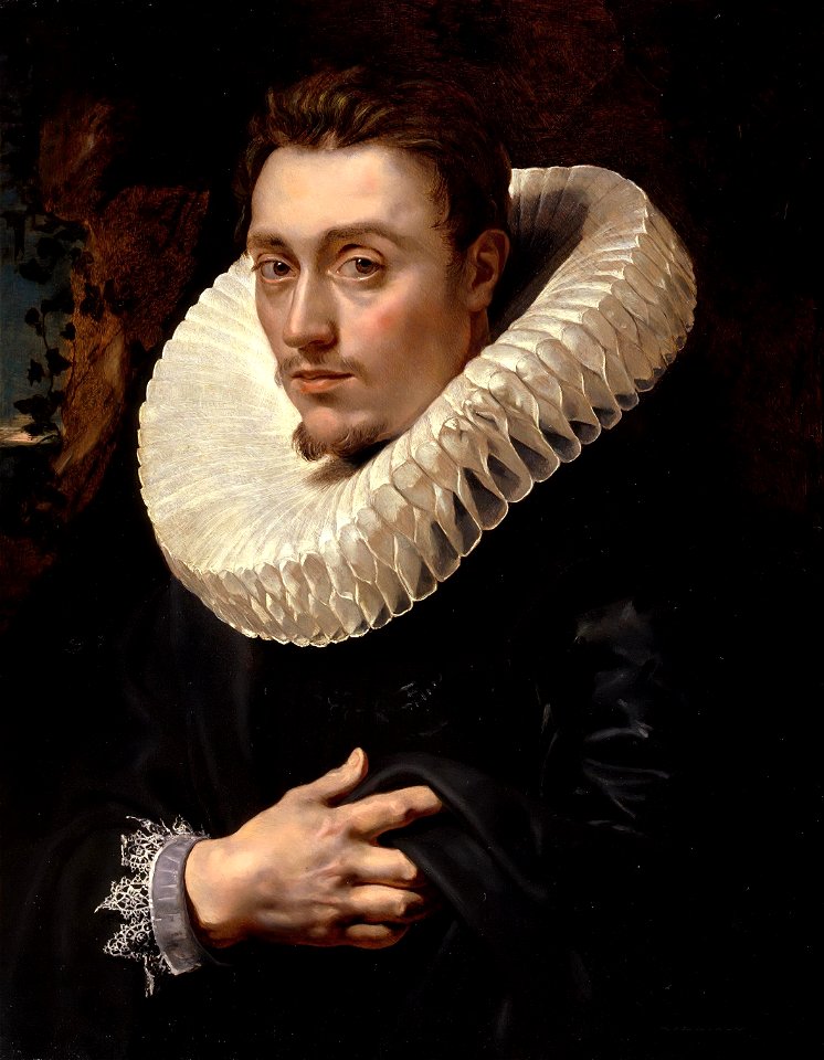 Portrait of a Young Man (by Peter Paul Rubens)