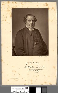 Portrait of A. Morton Brown (4673532)