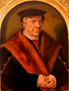 Portrait of a man-Bartholomaus Bruyn-MBA Lyon A2933-IMG 0255