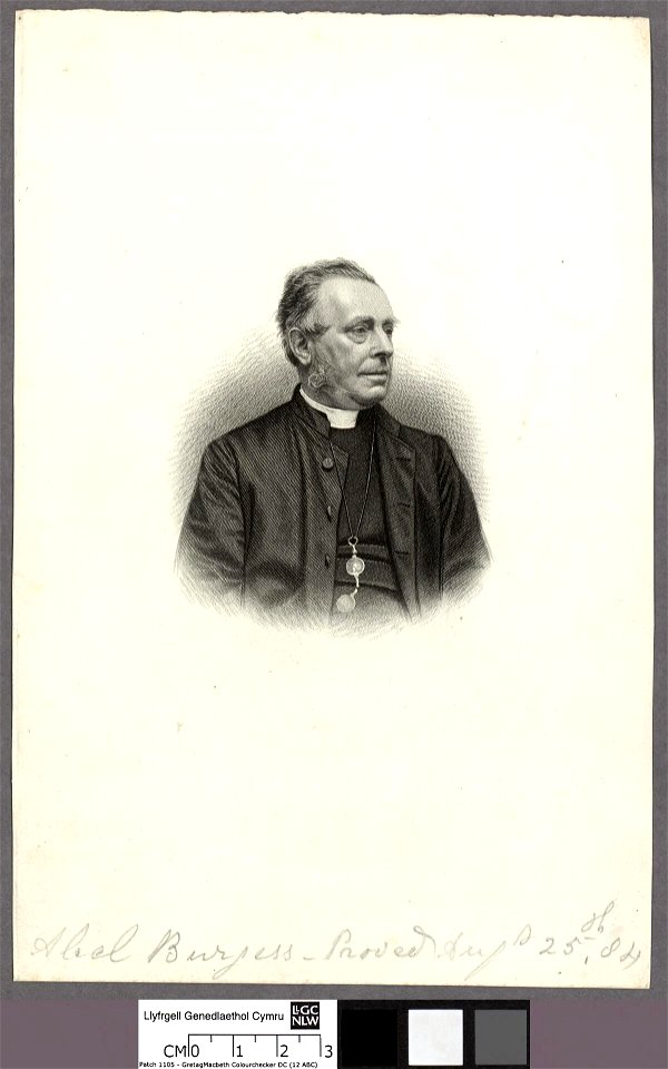 Portrait of Abel Burgess (4673995)