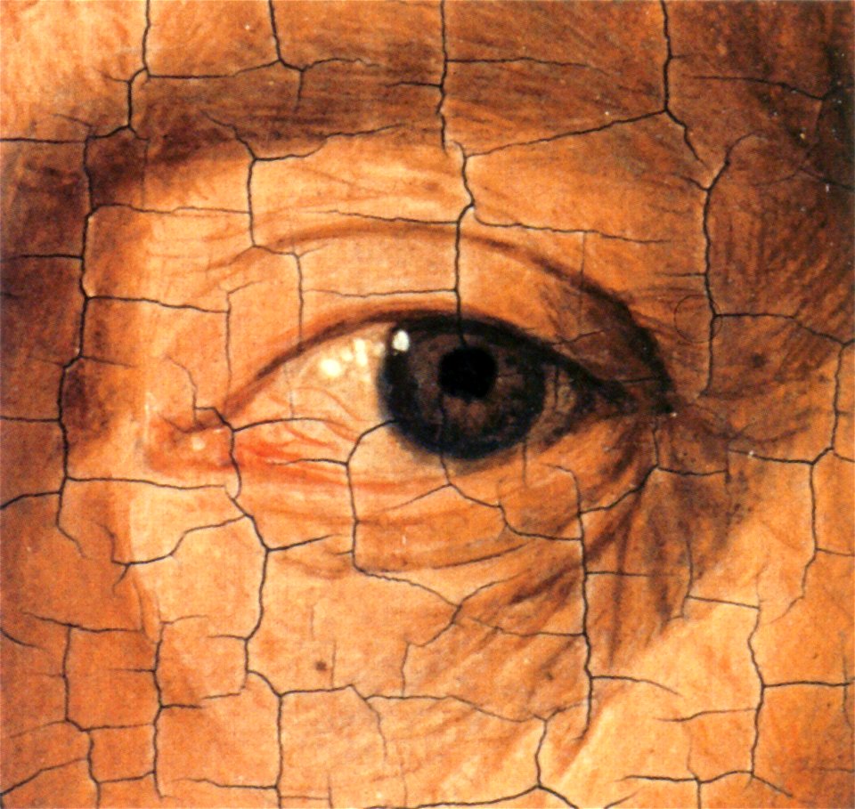 Portrait of a Man by Jan van Eyck (detail)