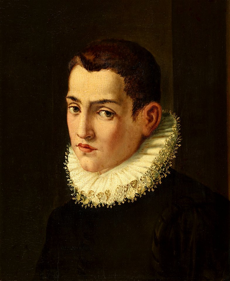 Portrait of a young man (by Agnolo Bronzino)