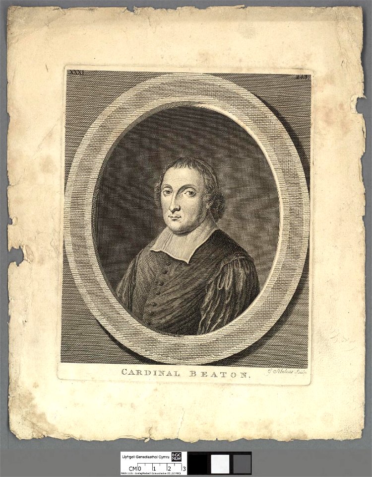 Portrait of Cardinal Beaton (4671254)