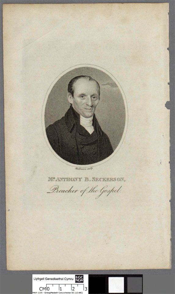 Portrait of Anthony B. Seckerson (4673465)