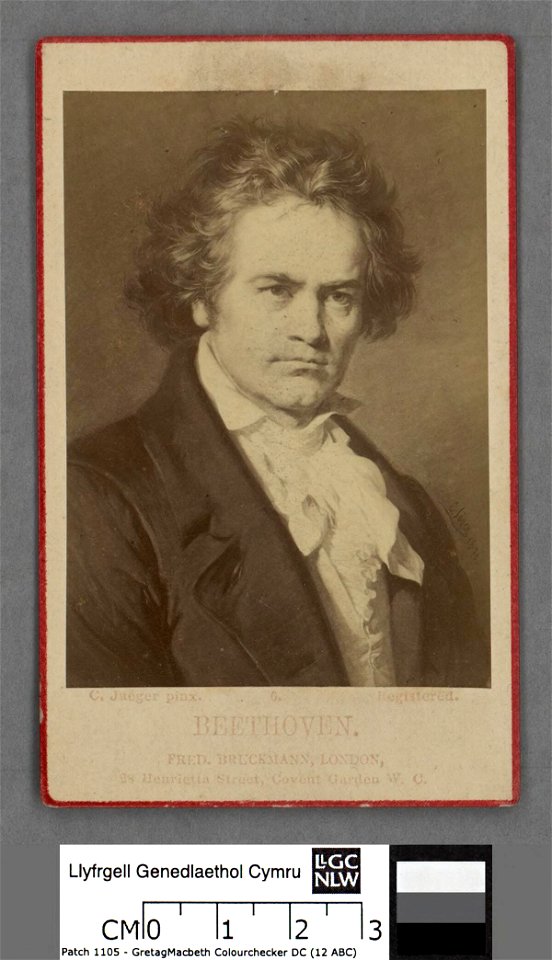 Portrait of Beethoven (4674311)