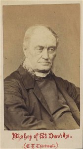 Portrait of Bishop of St. David's C. N. Thirlwall (4671173) (cropped)