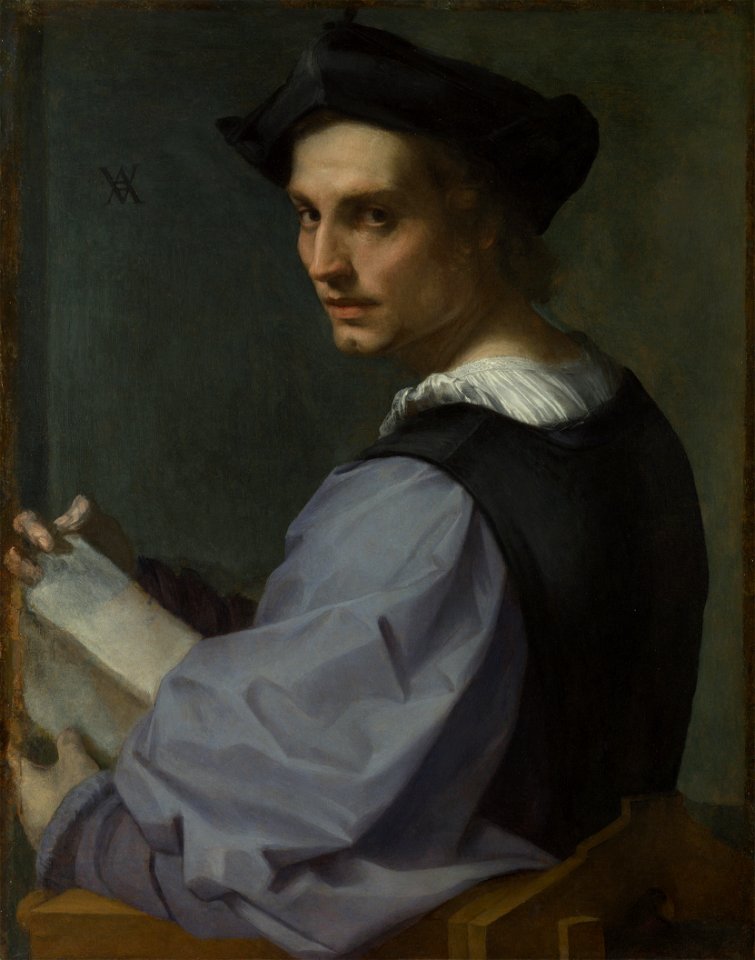 Portrait of a Young Man, Andrea del Sarto