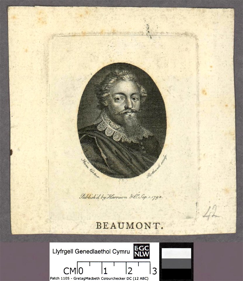 Portrait of Beaumont (4673622)