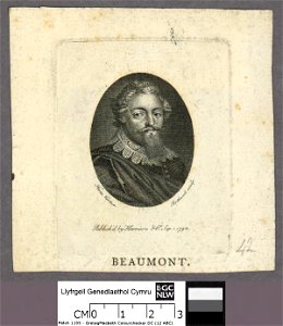 Portrait of Beaumont (4673622)
