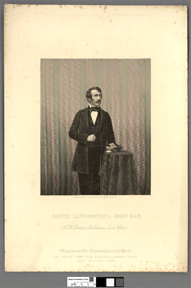 Portrait of David Livingstone, Esqre. LL.D (4671613)