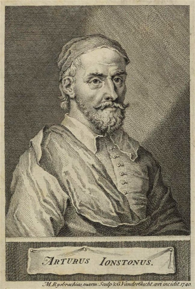Portrait of Arturus Jonstonus (4672927)