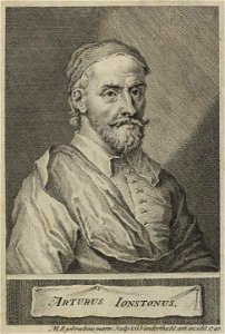 Portrait of Arturus Jonstonus (4672927)