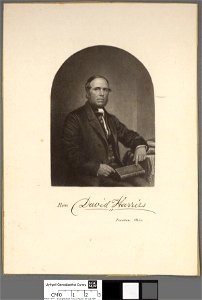 Portrait of David Harries, Ironton, Ohio (4672556)