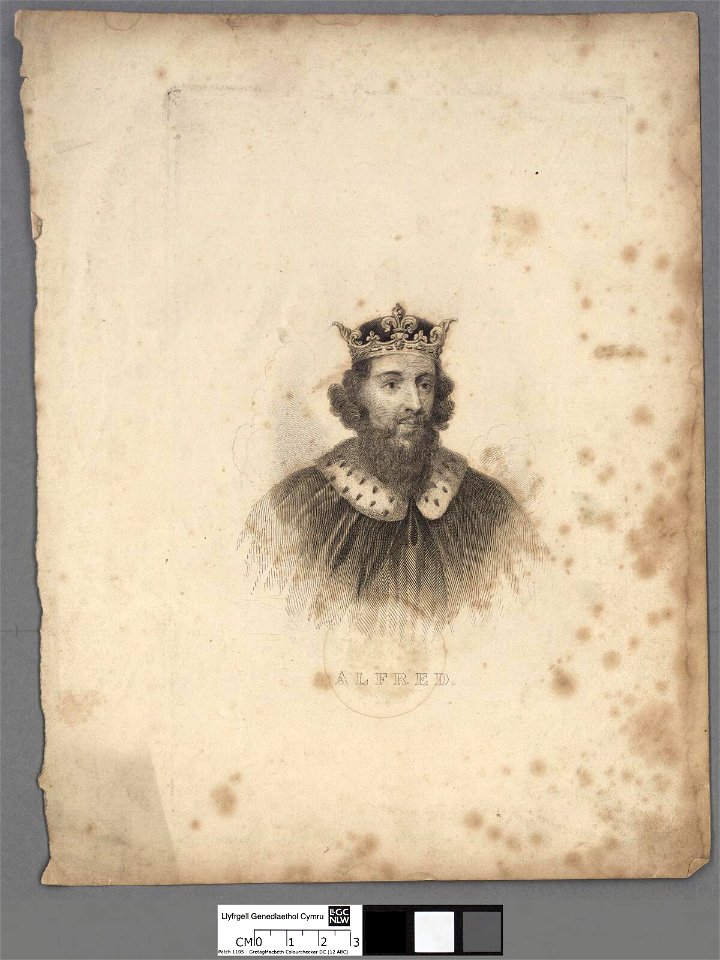 Portrait of Alfred (4671238)