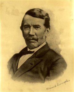 Portrait of David Livingstone (4671614)