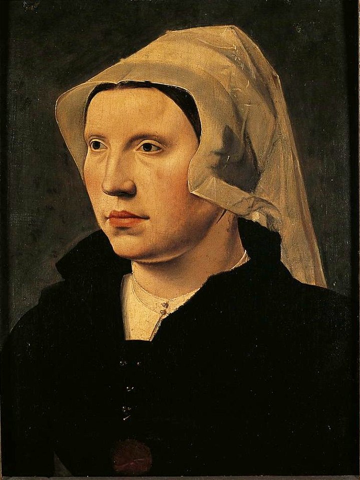 Portrait of an unknown woman - 1543