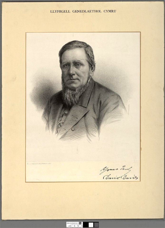 Portrait of David Davies (4672248)