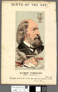 Portrait of Alfred Tennyson (Poet Laureate) (4673038)