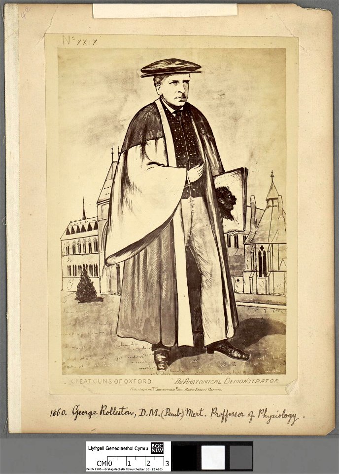 Portrait of An anatomical demonstrator (4672300)