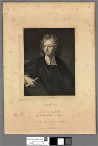 Portrait of Bentley (4671259)