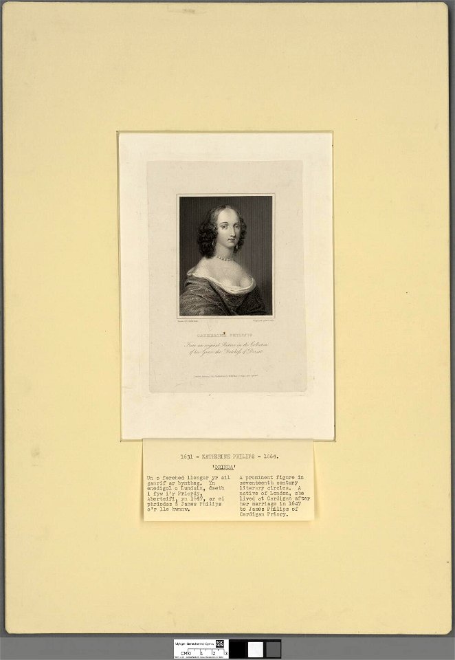 Portrait of Catherine Phillips (4671783)