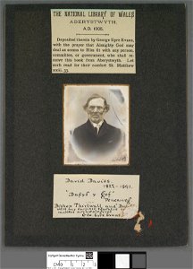 Portrait of David Davies 1822-1891 (4674447)