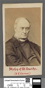 Portrait of Bishop of St. David's C. N. Thirlwall (4671173)