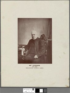 Portrait of Ap Vychan 1809-1880 (4672075)