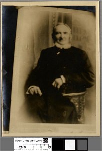 Portrait of D. B. Edwards, Porth-y-Dwr, Aberhonddu (4673936)