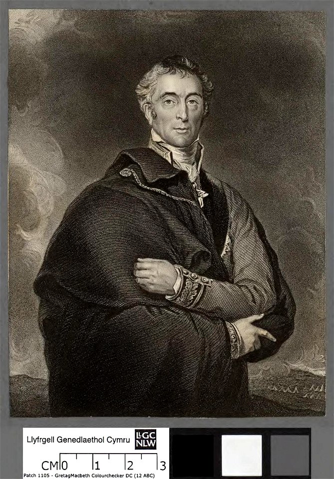 Portrait of Arthur Wellesley, Duke of Wellington (4673879)