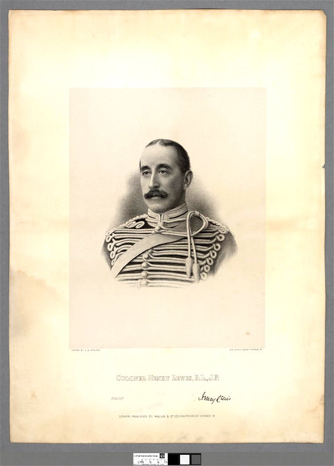 Portrait of Colonel Henry Lewis, D.L., J.P (4674509)