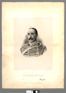 Portrait of Colonel Henry Lewis, D.L., J.P (4674509)