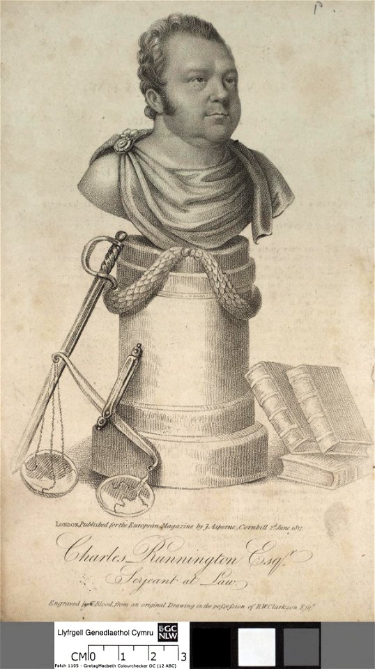 Portrait of Charles Runnington Esqr (4672688)