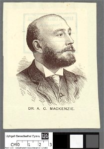 Portrait of Dr. A. C. Mackenzie (4674198). Free illustration for personal and commercial use.