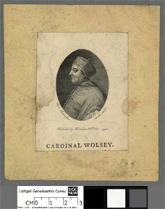 Portrait of Cardinal Wolsey (4671057)