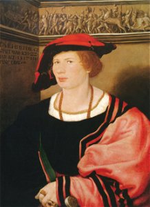 Portrait of Benedikt von Hertenstein, by Hans Holbein the Younger. Free illustration for personal and commercial use.