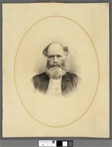 Portrait of David Davies (4671445)