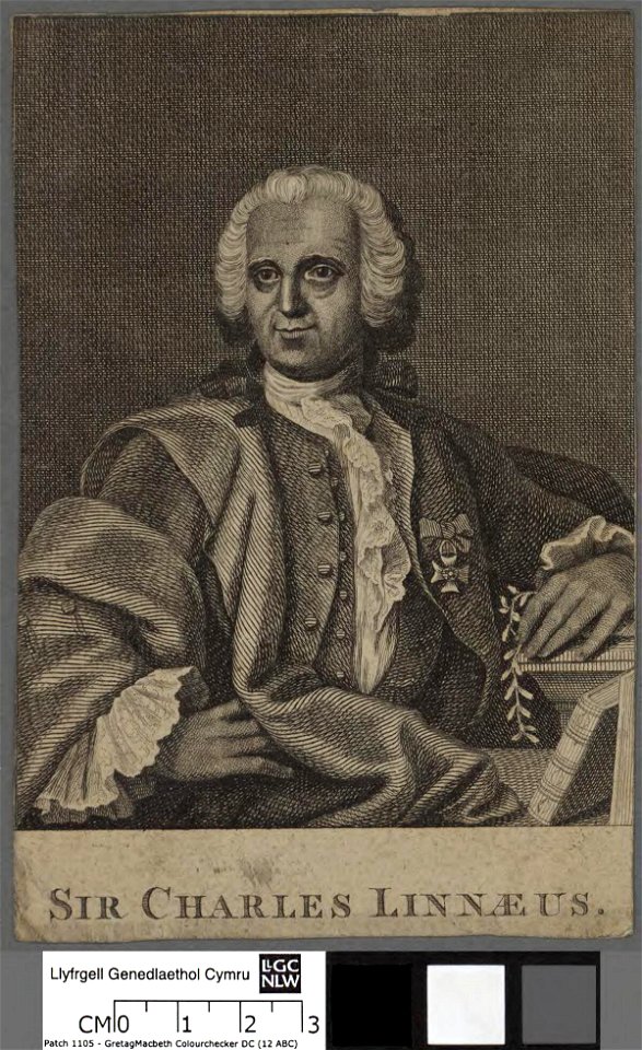 Portrait of Charles Linnaeus (4673780)