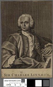 Portrait of Charles Linnaeus (4673780)