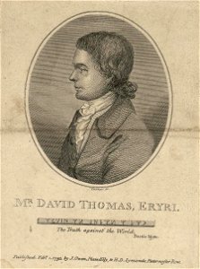 Portrait of David Thomas, Eryri (4674265)