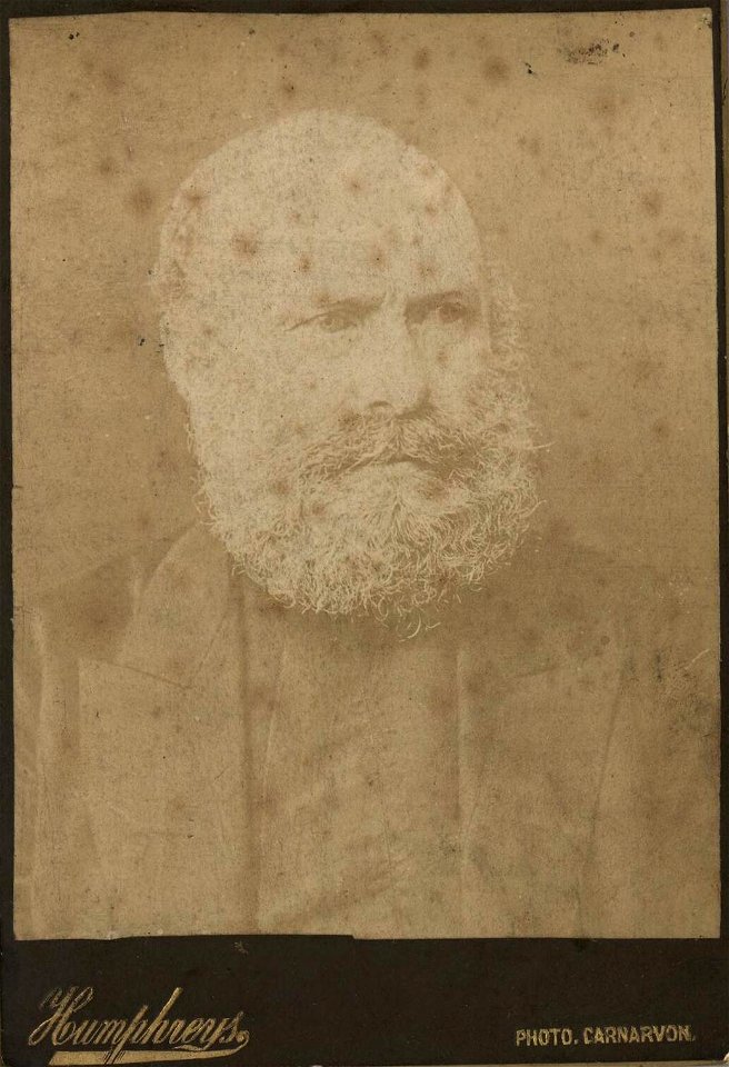 Portrait of David Charles Davies (4673063)