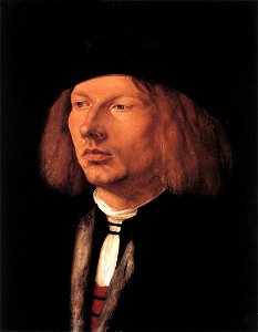 Portrait of Burkard von Speyer (1506); Albrecht Dürer
