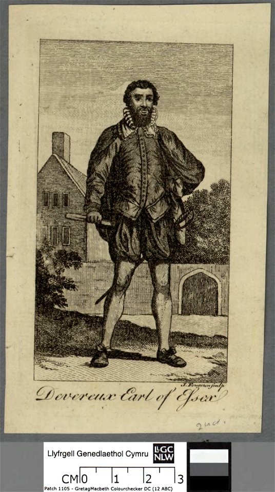 Portrait of Devereux (4674075)